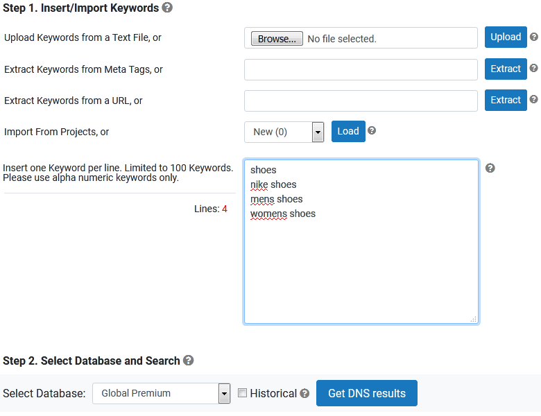 DNS Tool