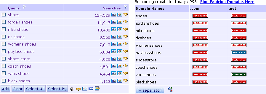 DNS Tool results